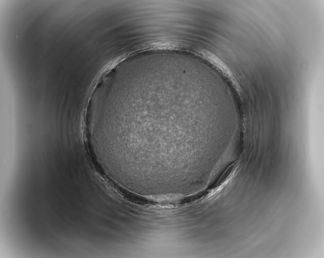 X0000094350930200711021430