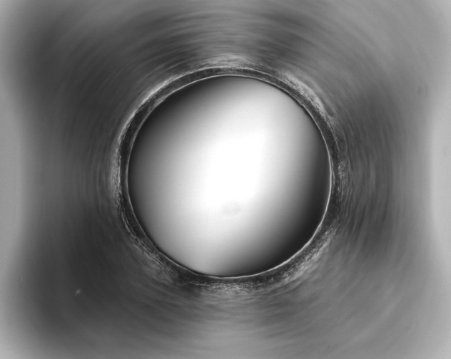 X0000094350931200711021430