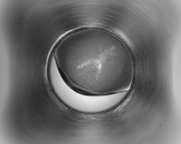 X0000094350932200711021430