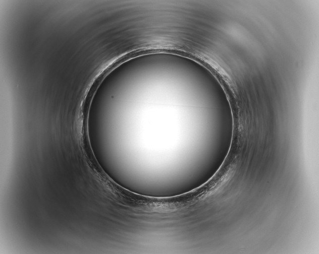 X0000094350933200711021430
