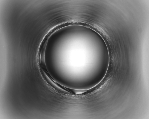 X0000094350934200711021430