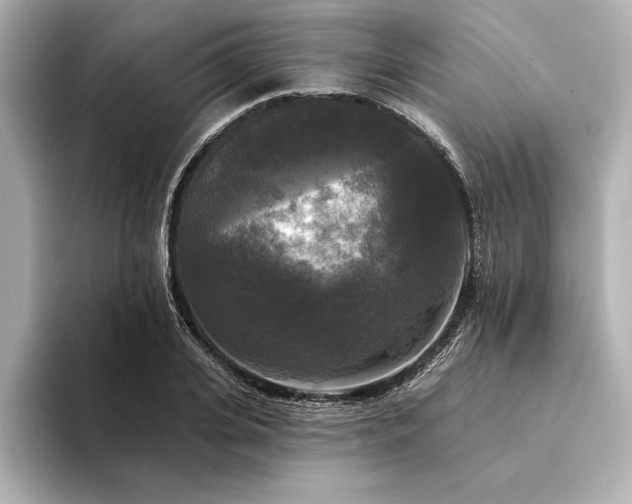 X0000094350935200711021430