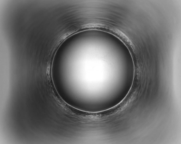 X0000094350937200711021430
