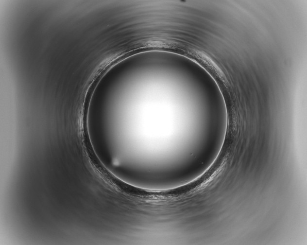 X0000094350938200711021430