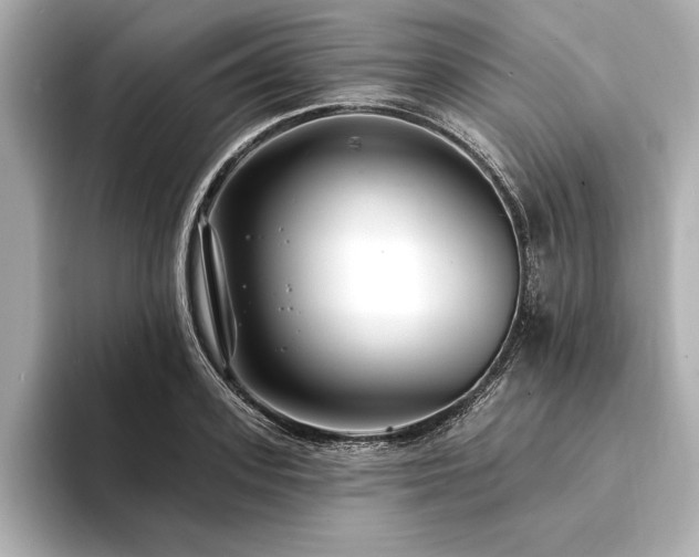 X0000094350939200711021430