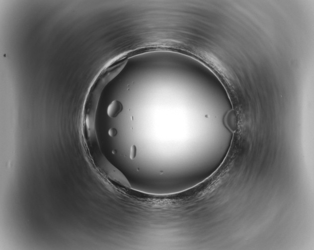 X0000094350940200711021430