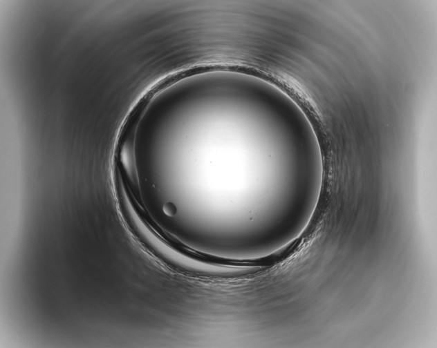 X0000094350942200711021430