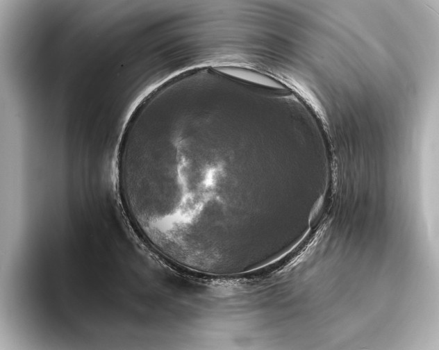 X0000094350944200711021430