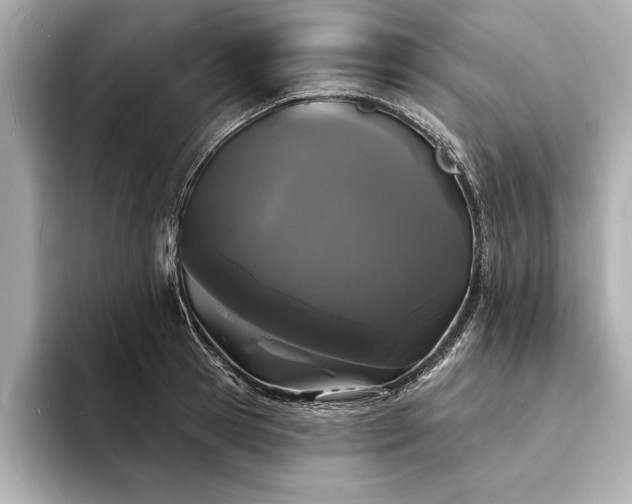 X0000094350945200711021430