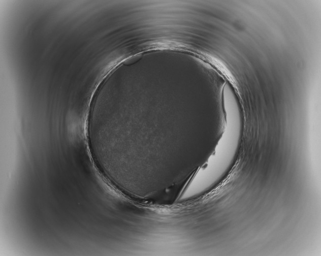 X0000094350946200711021430