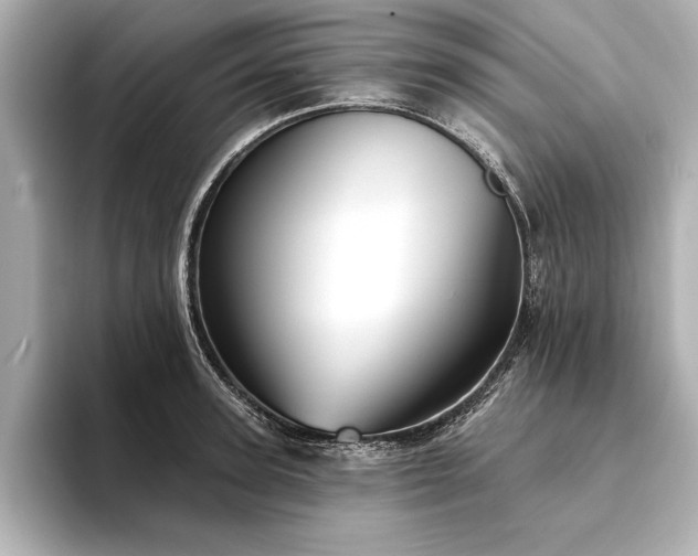 X0000094350947200711021430