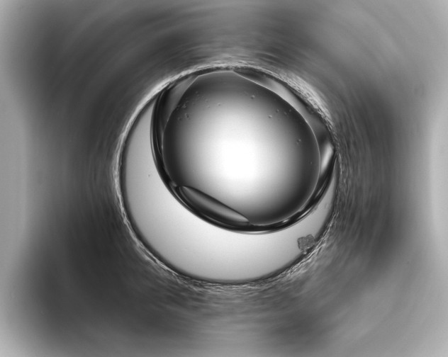 X0000094350950200711021430