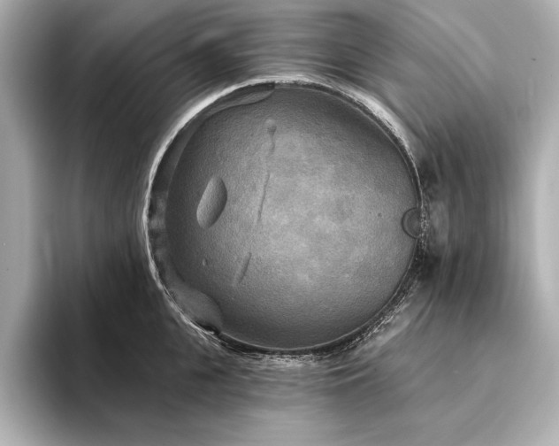 X0000094350951200711021430
