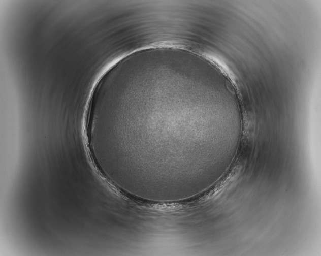 X0000094350952200711021430