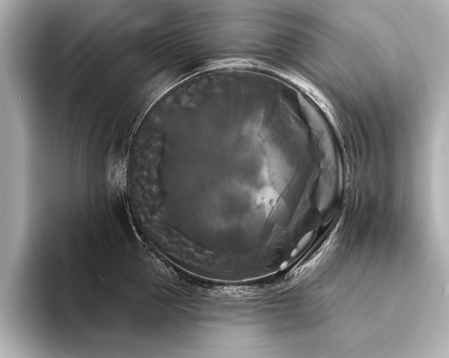X0000094350953200711021430