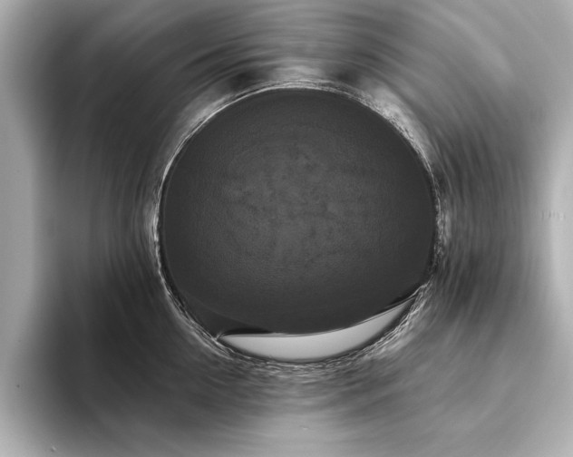 X0000094350954200711021430