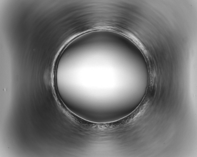 X0000094350955200711021430