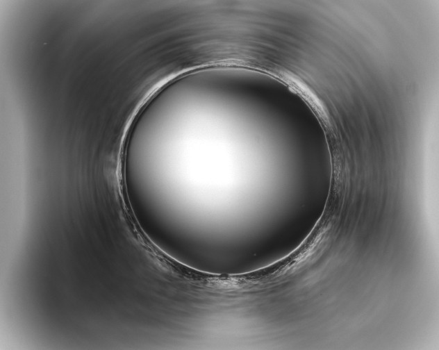 X0000094350956200711021430