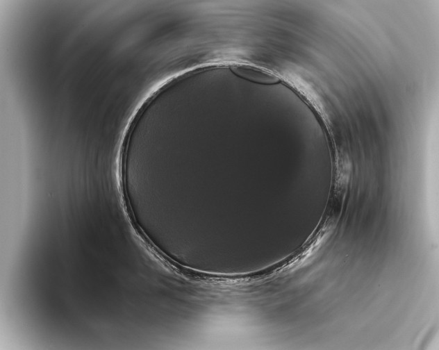 X0000094350958200711021430