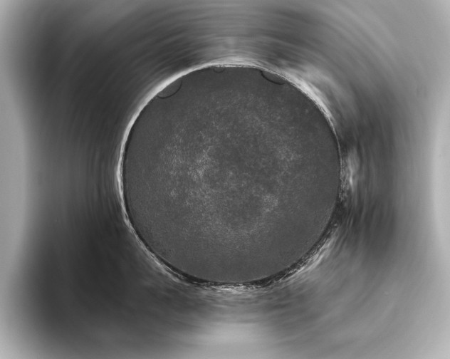 X0000094350959200711021430
