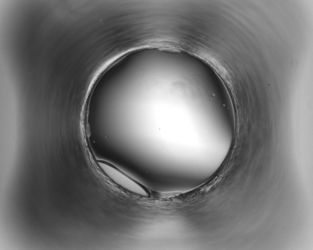 X0000094350960200711021430