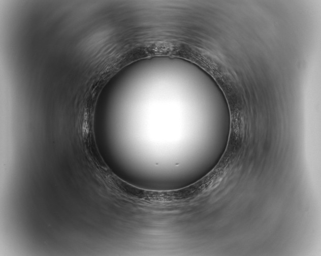 X0000094350962200711021430