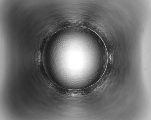 X0000094350963200711021430