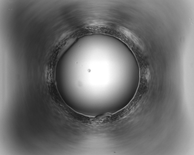 X0000094350965200711021430