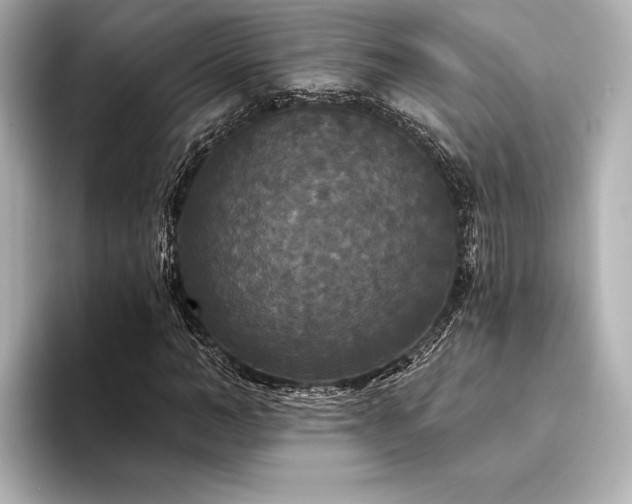X0000094350966200711021430
