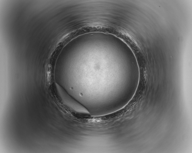 X0000094350968200711021430