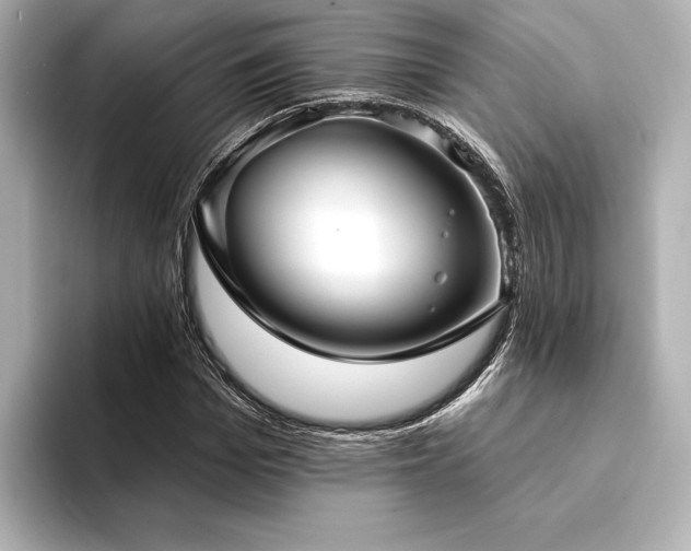 X0000094350969200711021430