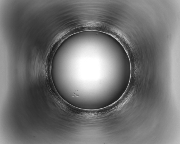 X0000094350970200711021430