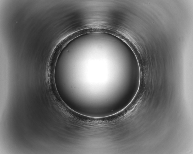 X0000094350971200711021430