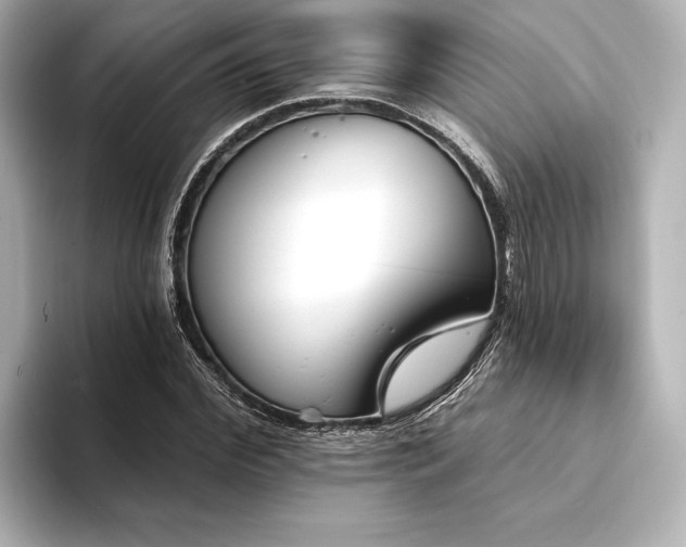 X0000094350972200711021430