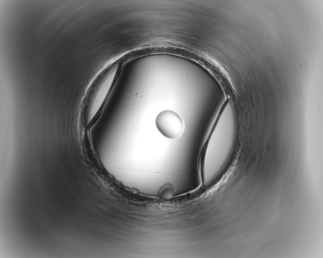 X0000094350973200711021430