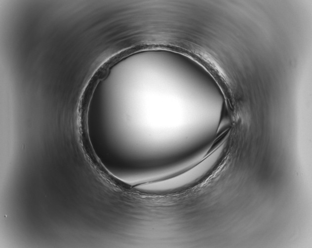 X0000094350976200711021430