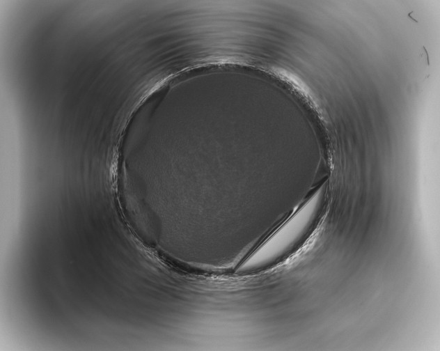 X0000094350977200711021430