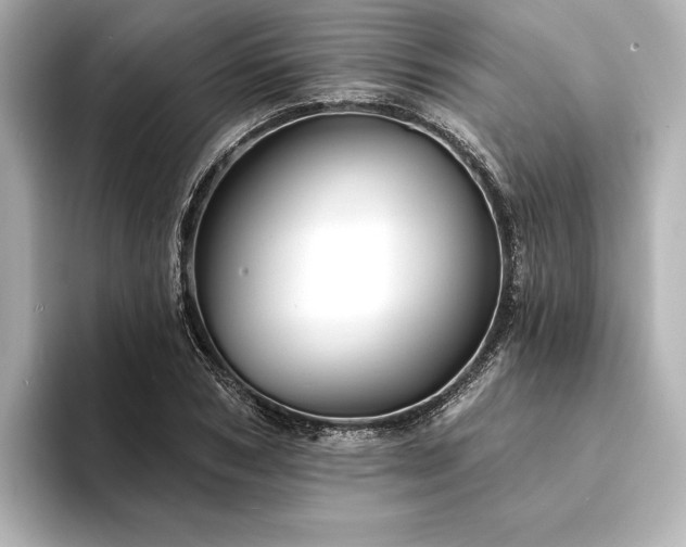 X0000094350978200711021430
