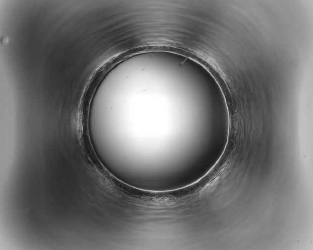 X0000094350979200711021429