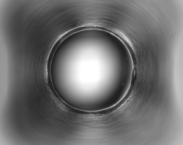 X0000094350980200711021429
