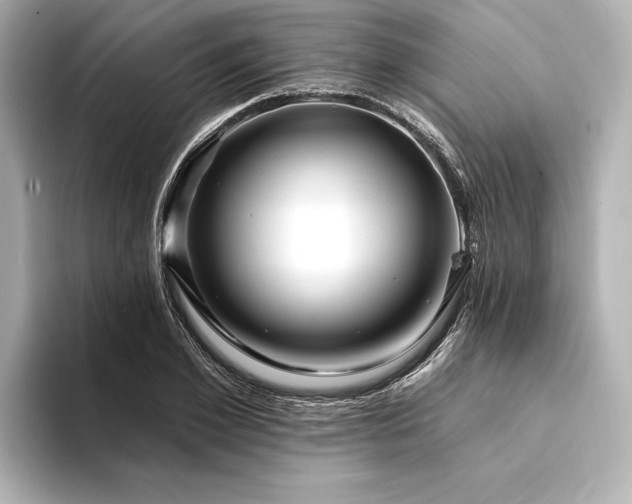 X0000094350981200711021429