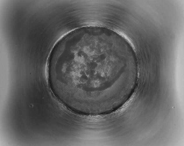 X0000094350983200711021429