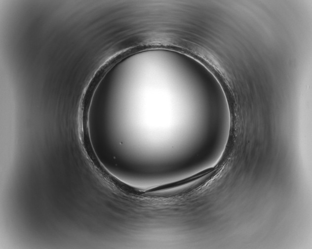 X0000094350984200711021429
