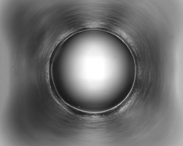 X0000094350986200711021429