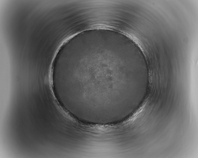 X0000094350987200711021429