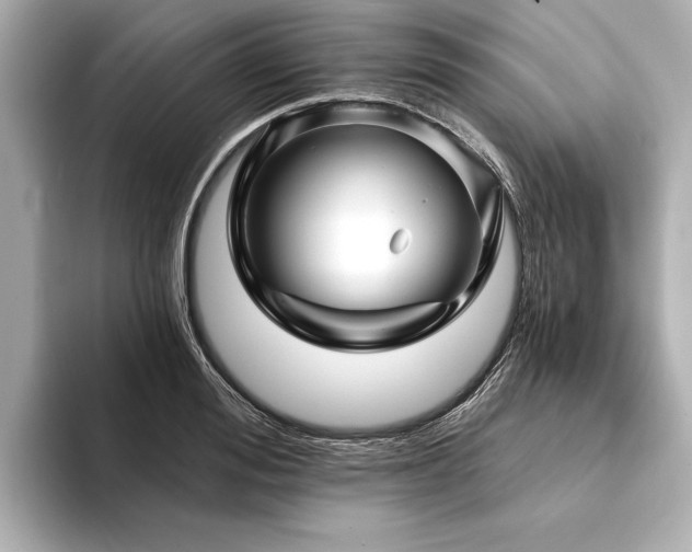 X0000094350988200711021429
