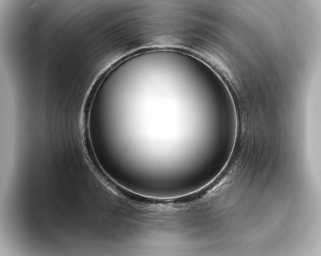 X0000094350990200711021429