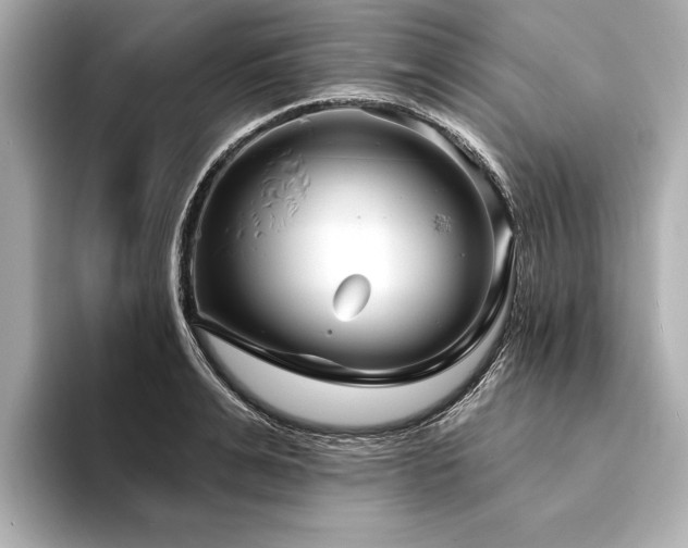 X0000094350991200711021429