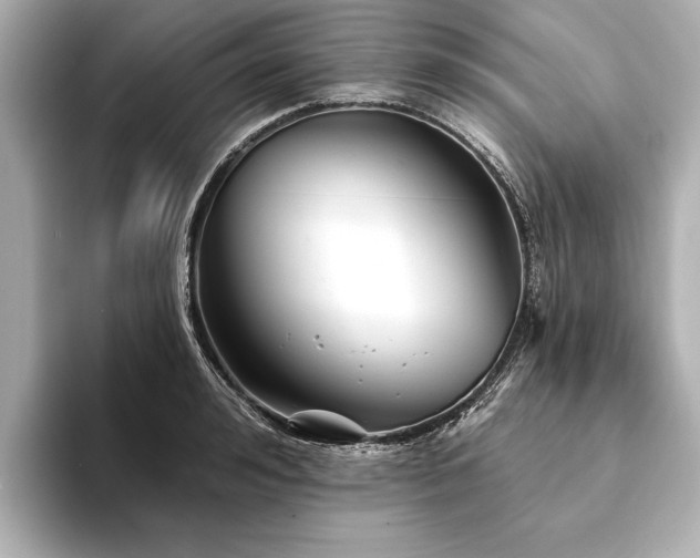 X0000094350992200711021429