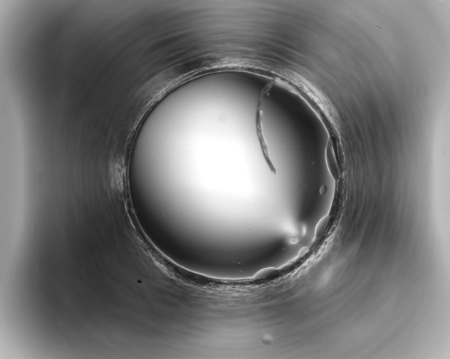 X0000094350993200711021429